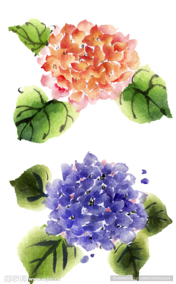 鲜花