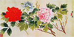 牡丹