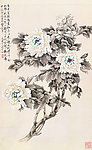 墨牡丹