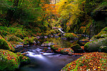 山水森林