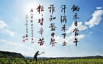 启功书李绅《悯农》