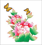 牡丹花