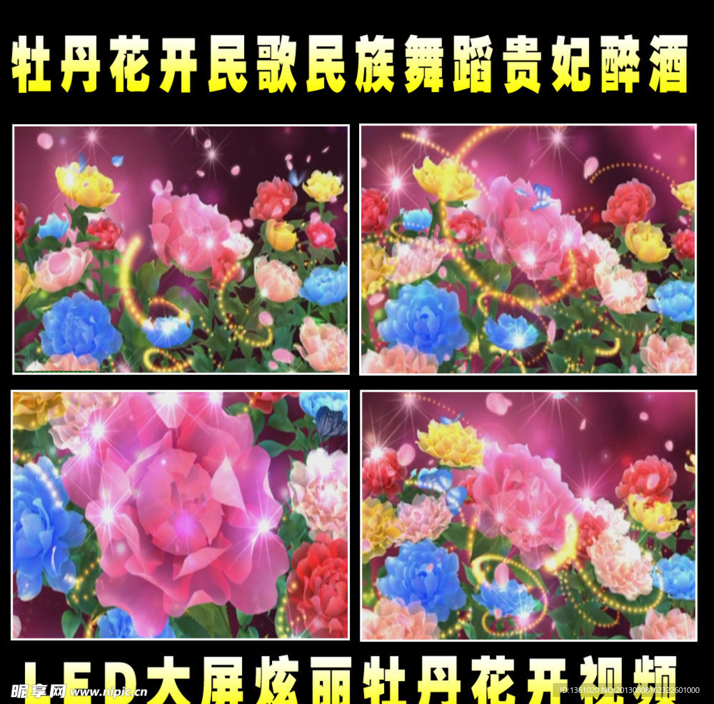 LED花朵视频