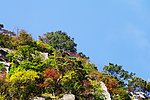 黄山