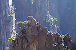 黄山