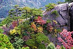 黄山