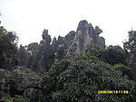 石林 风景