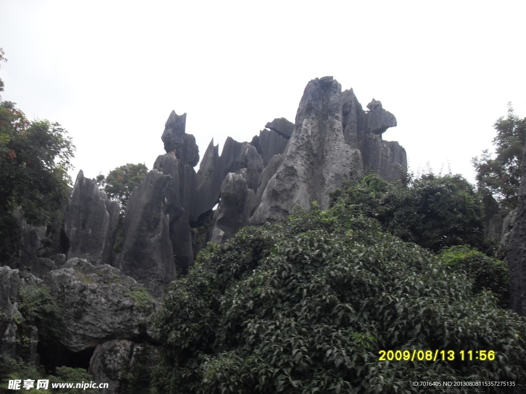 石林 风景