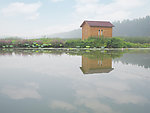 红荷湿地