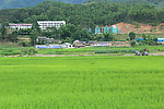 田园风光