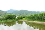 田园风光