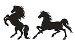 骏马 剪影