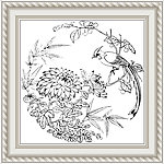 寿带菊花