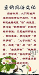鱼的风俗文化