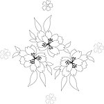 花朵