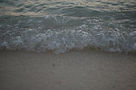 海边