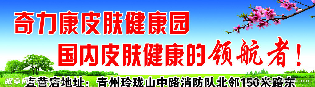 奇力康皮肤健康园海报