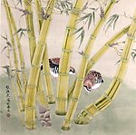 竹林小鸡