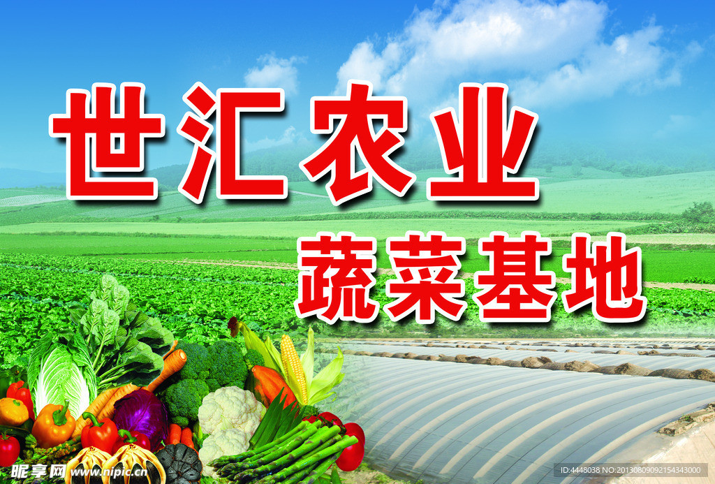 蔬菜大棚