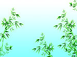 竹子（实际像素下非高清）