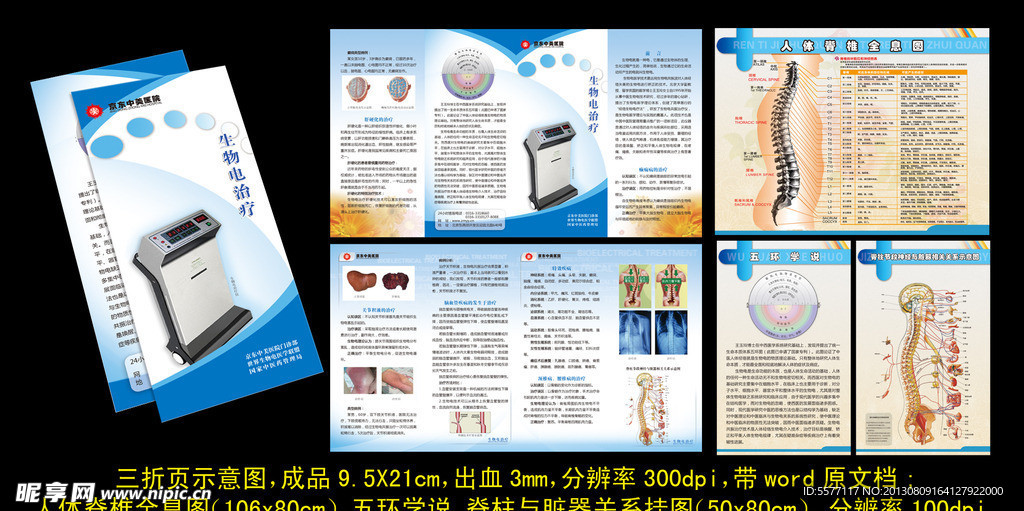 生物电治疗彩页