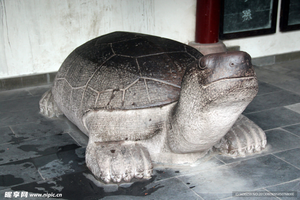 石雕 石龟