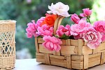 鲜花