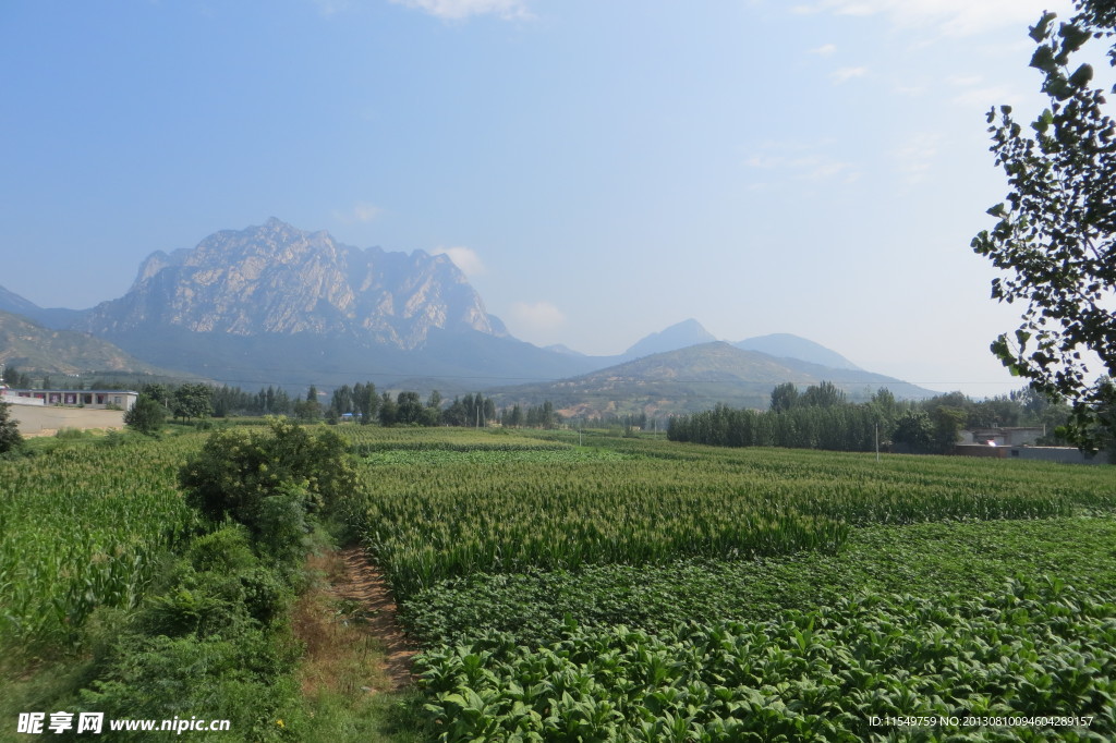 嵩山风景