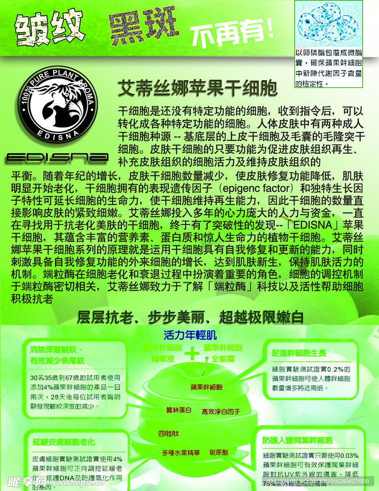 产品宣传单