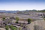陕北梯田