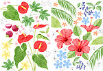 鲜花图案