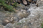 飞溅的河水 河水急湍