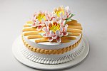 生日蛋糕 鱼尾菊