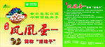 活珠子广告