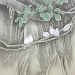 榕树小鸟