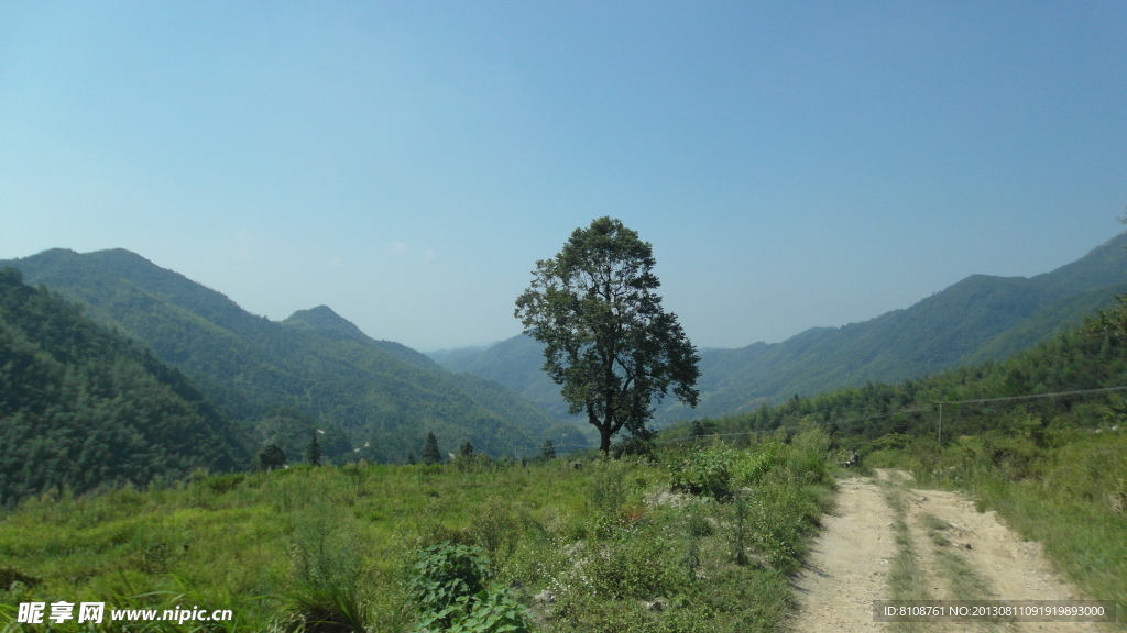 风景