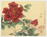 工笔花卉