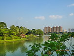 公园美景