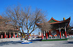 通辽市大乐林寺