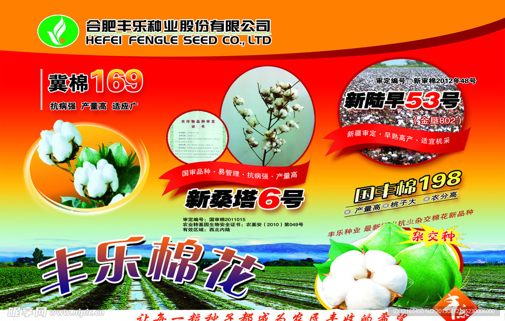 丰乐棉花