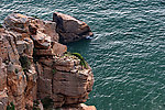 大海岸边