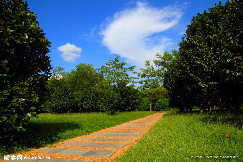 公园小路蓝天