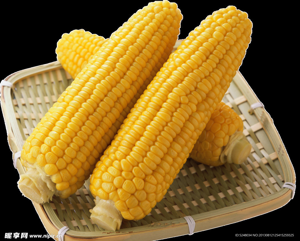 玉米