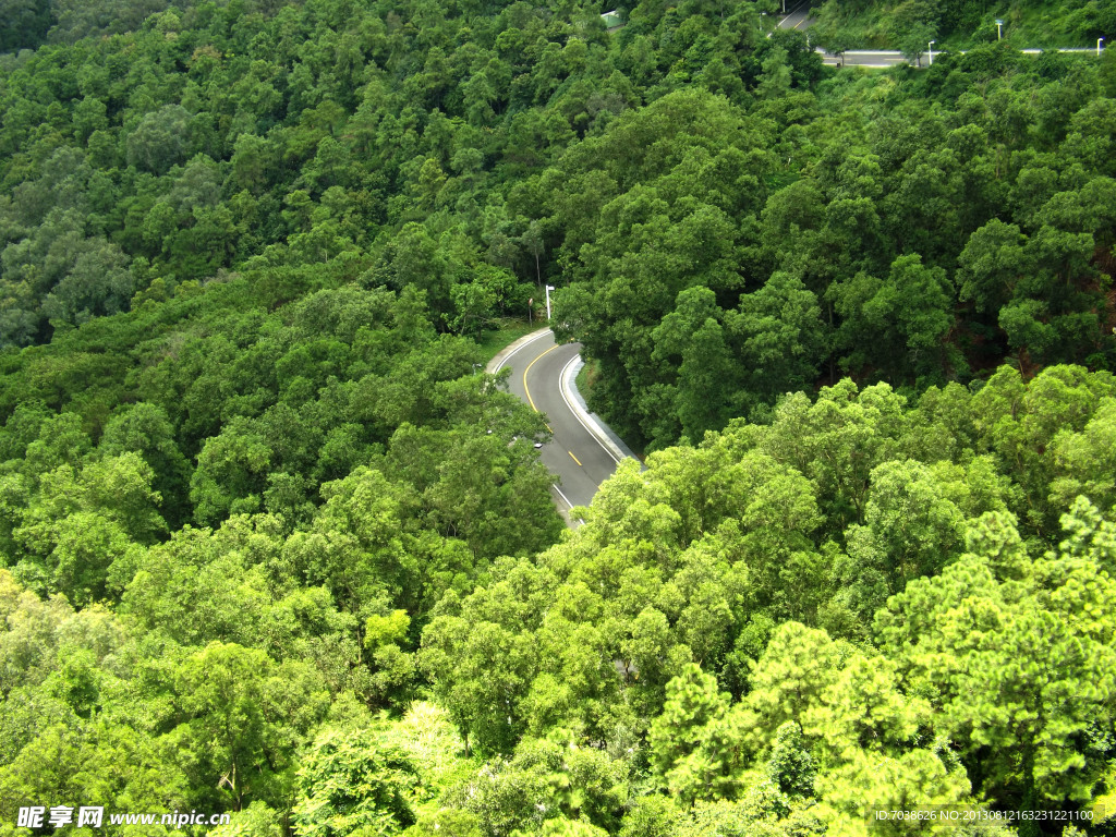 林中路