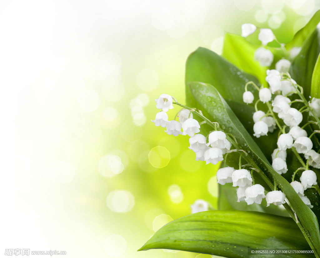 鲜花