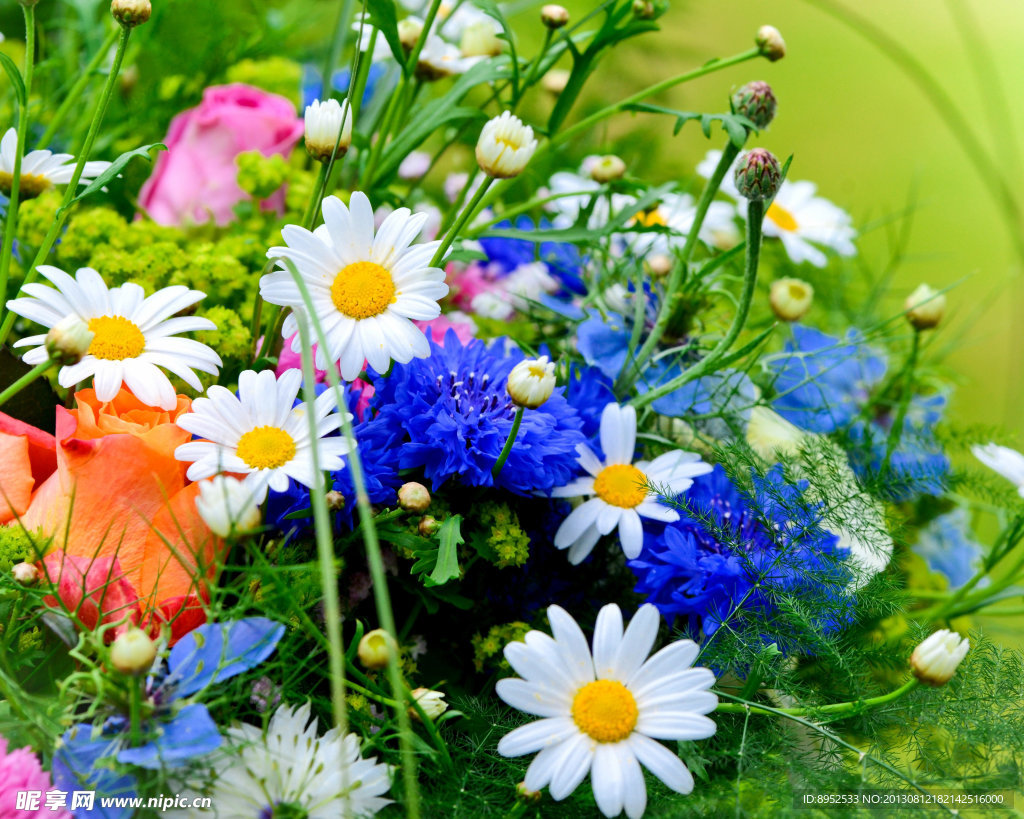鲜花
