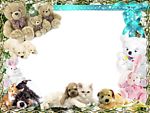 花样相框
