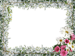 花样相框