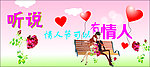 情人节