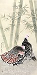 竹林火鸡